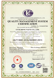 ISO9001英文版